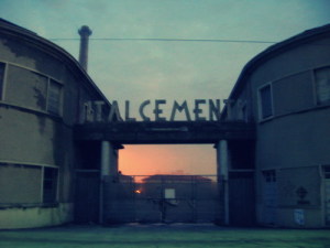sacelitSenigallia