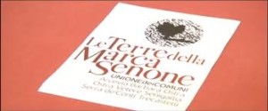 terremarcasenone